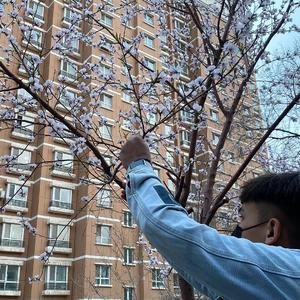 扒开美女狂揉❌桃花源
